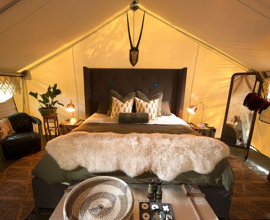 Base Camp Glamp Tent Bed by Krista Stokes
