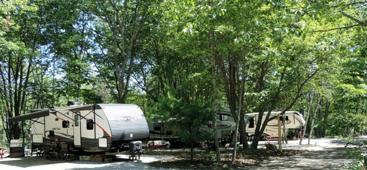 Sandy Pines Campground RV Sites