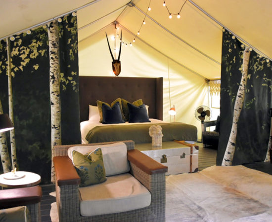 Base Camp Glamp Tent Interior